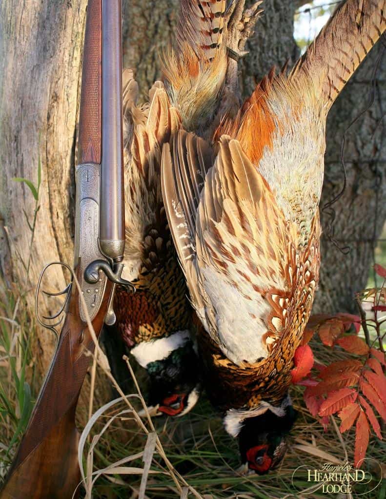 Orvis endorsed pheasant hunting lodge