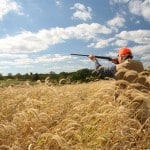 Upland Bird Hunting in Pike County, Illinois