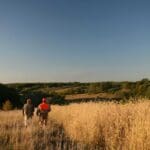 upland hunting in the midwest