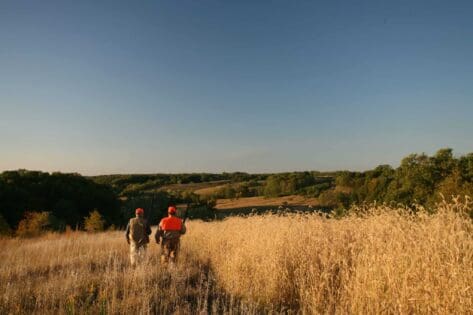 Upland Hunting the rolling hills of Pike County, IL