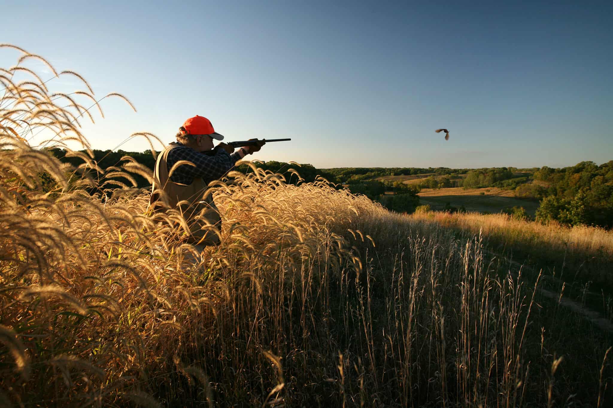 upland hunting at heartland lodge