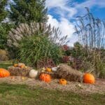 Fall decorations at the lodge