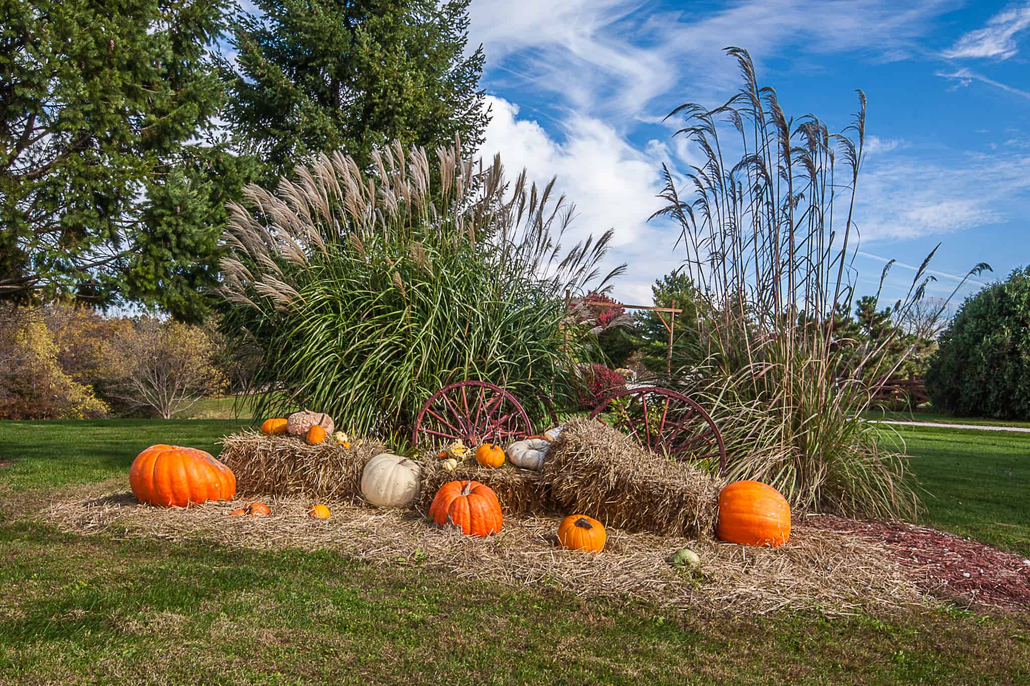 Fall decorations at the lodge