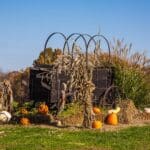 Fall decorations at the lodge