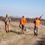 pheasant and quail hunting in illinois