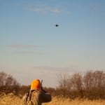 28 guage for pheasant and quail hunting