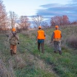 Illinois Pheasant Hunting Fields