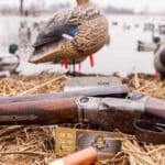 Guided Duck Hunts Illinois