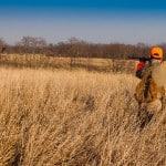 Pheasant hunting tips