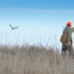 tips for upland hunting