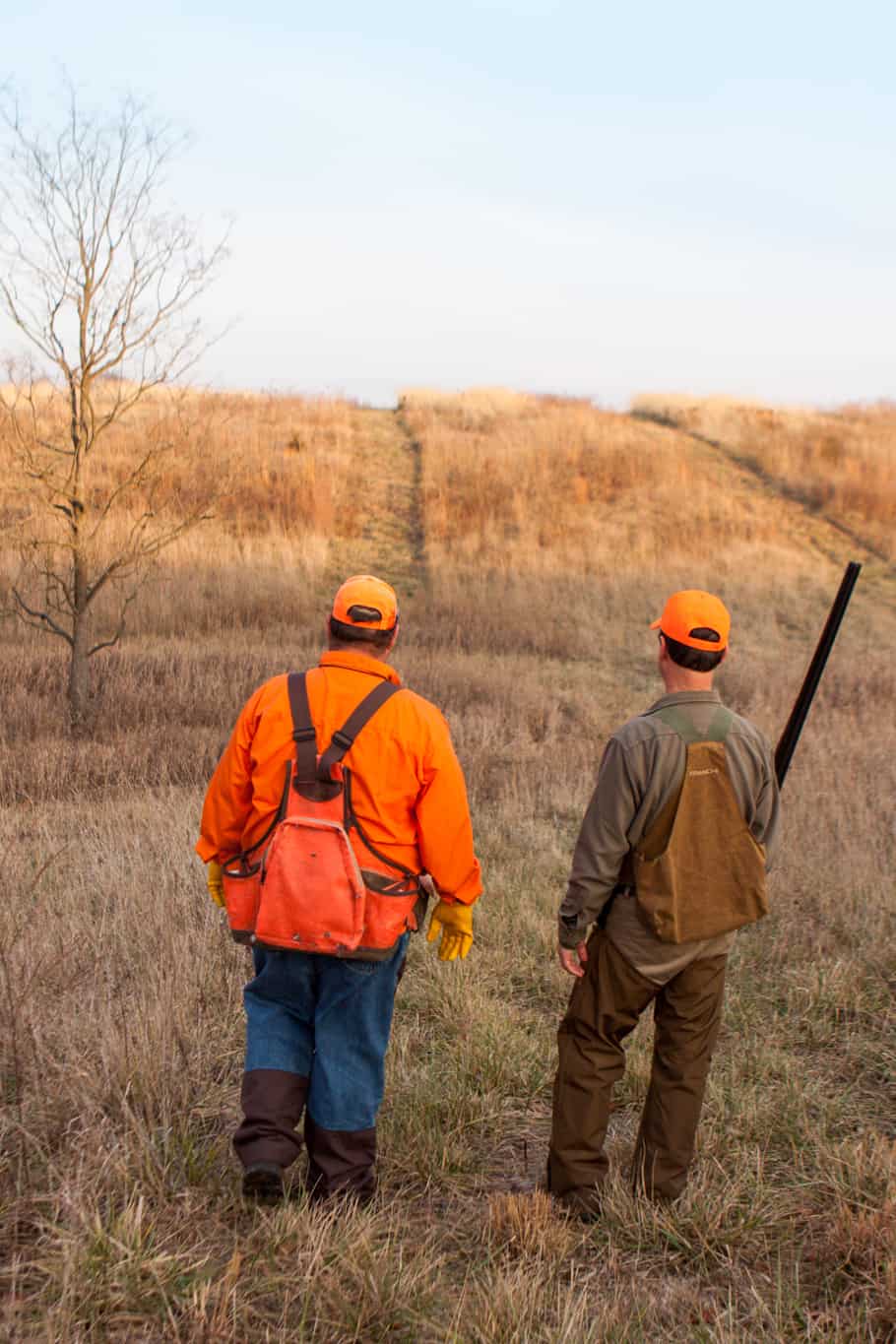 Illinois Quail Hunting Lodge Wild Quail Hunts & Trips Heartland Lodge