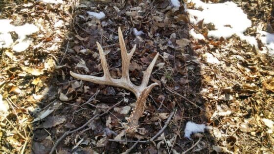 Jackpot's shed found in the winter of 2015