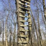 Old wooden step treestand.