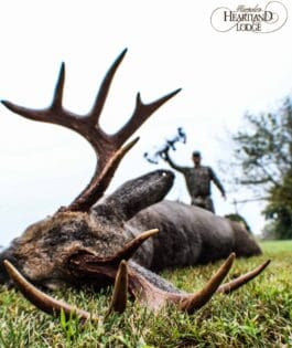 nice buck taking while using a treestand