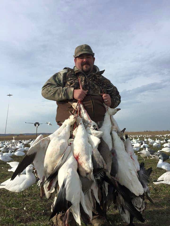 Snow Goose Hunting Guides Illinois Heartland Lodge