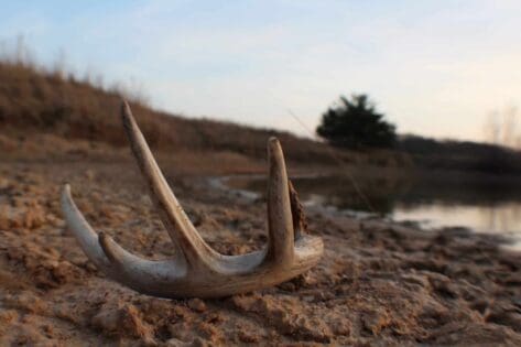 Finding sheds near water sources