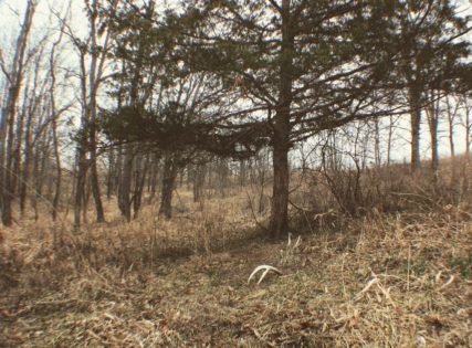 Finding Match Sets of Shed Deer Antlers 