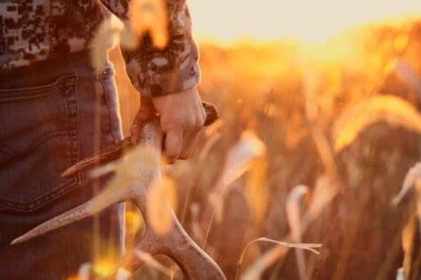 Late season shed hunting