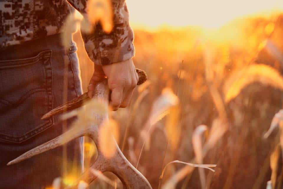 Finding sheds late in the year