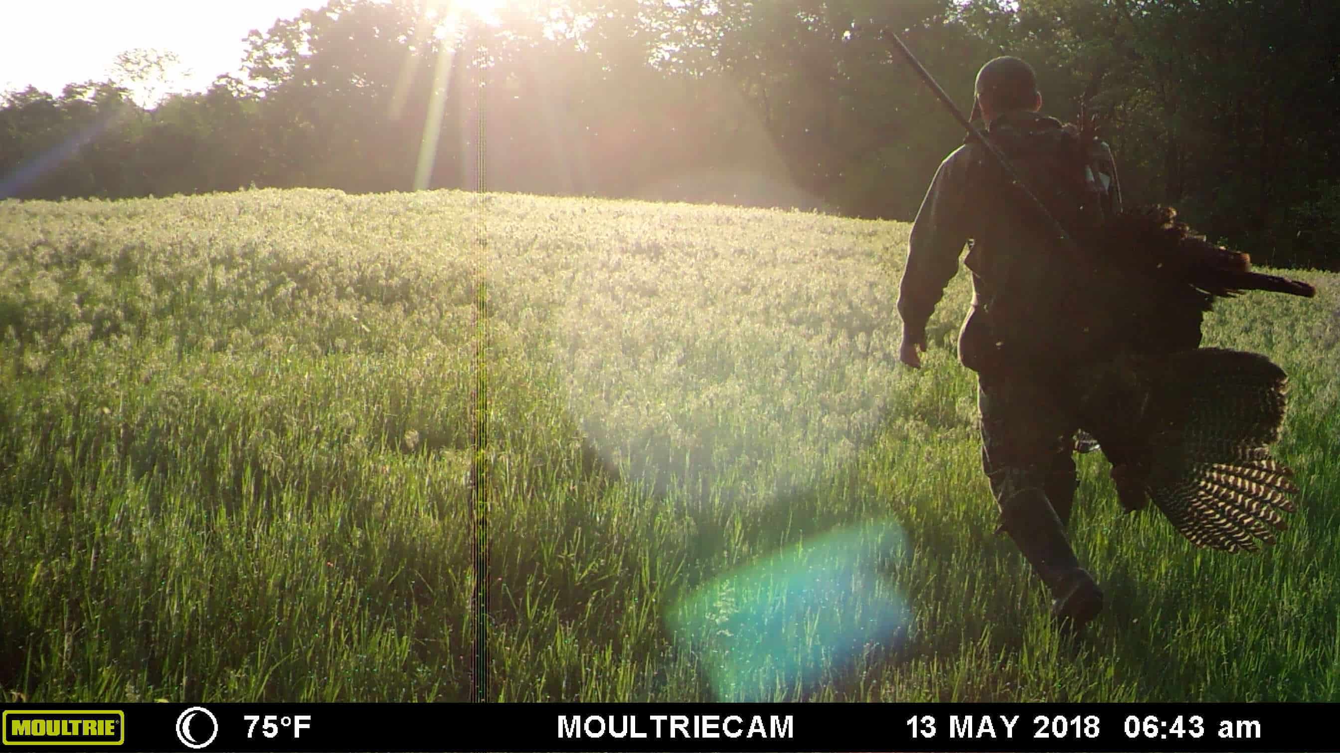 trail camera for turkey hunting tips