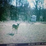 Big 8 Point!