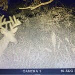 Trail Cam Photos