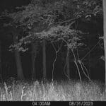 Giant velvet, Pike County IL whitetail!