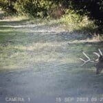 Trail Cam Photos