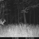 Trail Cam Photos