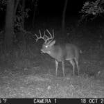 One of our hunters harvested this buck a few weeks after this picture..