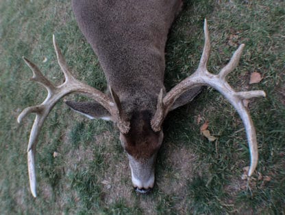 How will crossbow hunting effect the illinois deer population?