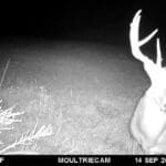 Trail Cam Photos