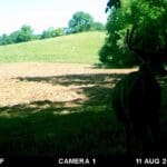 Trail Cam Photos