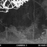 Trail Cam Photos