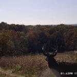 Trail camera picture with a view!