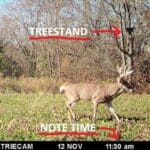 deer hunting tips