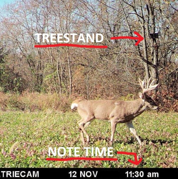 deer hunting tips