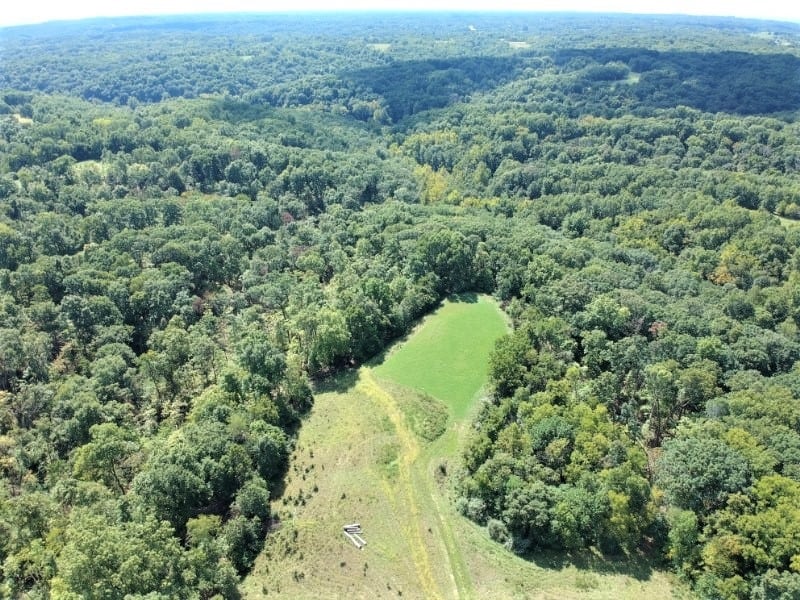 Deer Hunting Land For Sale In Pike County, Illinios Heartland Lodge