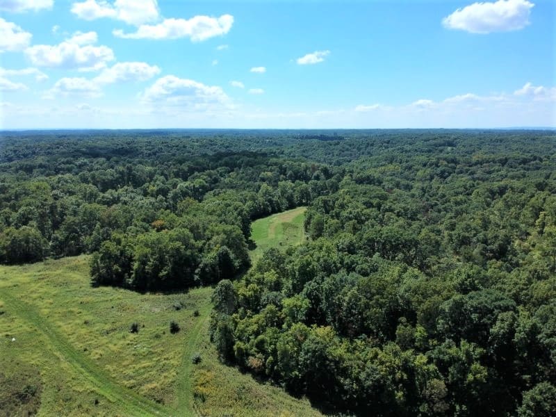 Deer Hunting Land For Sale In Pike County, Illinios Heartland Lodge