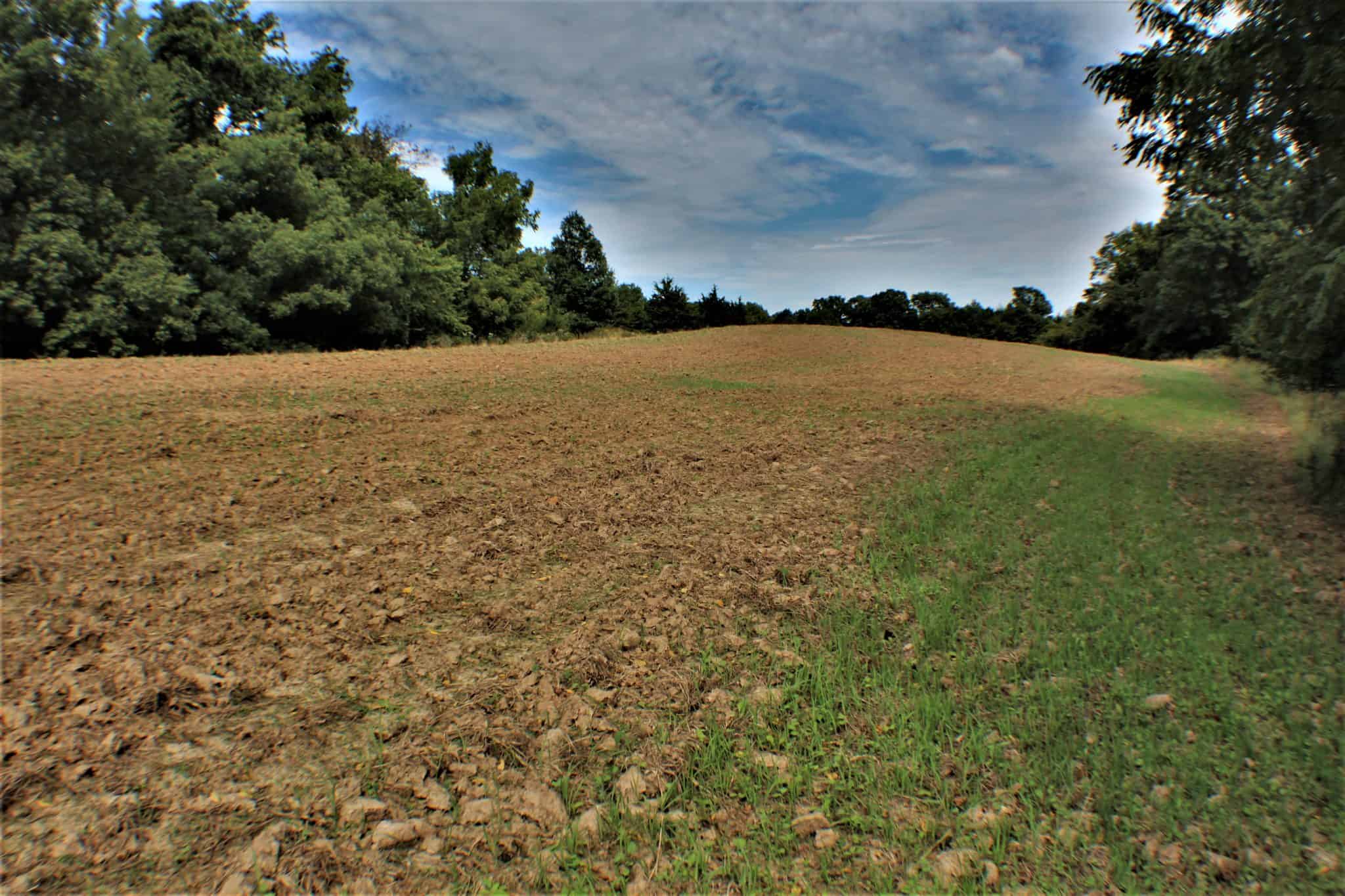 Deer Hunting Land For Sale In Pike County, Illinios Heartland Lodge