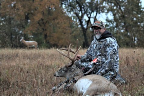 Mature whitetail harvested using a decoy