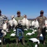 Great day of snow goose hunting!