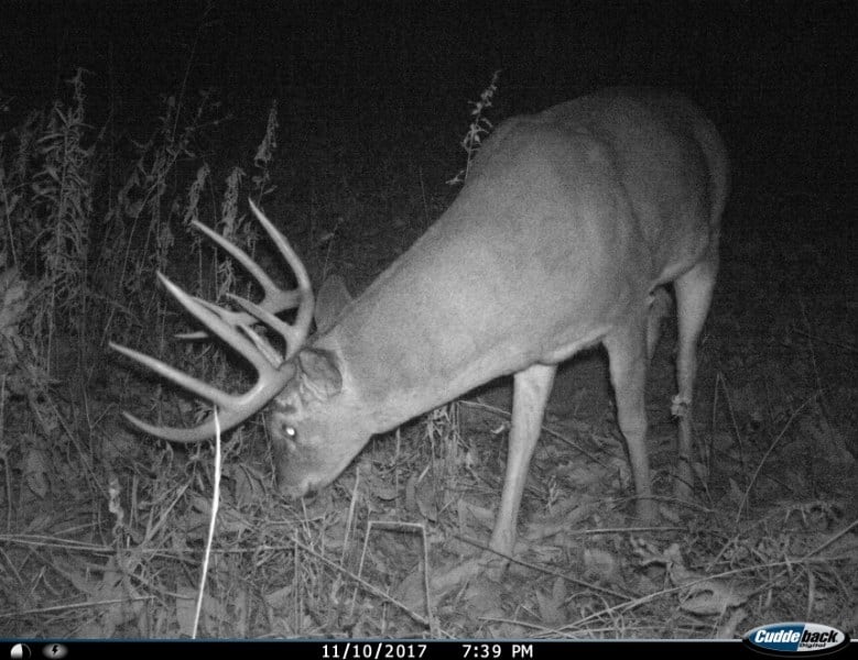 Deer Hunting Land For Sale In Pike County, Illinios Heartland Lodge