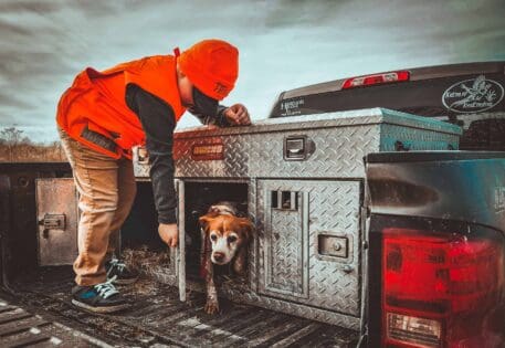 8 year old boy letting the upland dogs out for a day of hunting