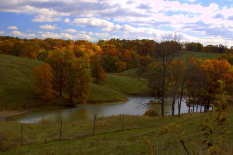 Fall colors in pike county illinois