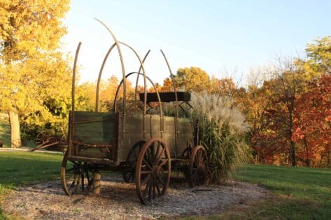 Enjoying Fall at the lodge!