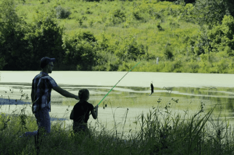 bass fishing in IL