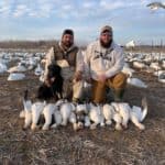 Great day in the snow goose blind!