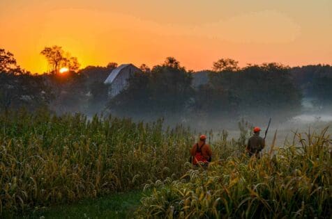 Early season upland hunting in Illinois lodge