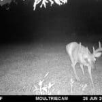 Moultrie Digital Game Camera